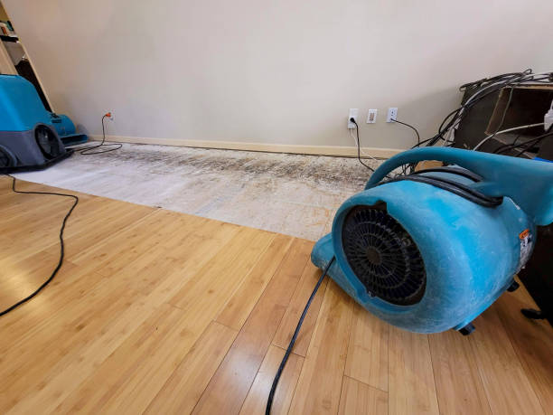 Professional Water Extraction technician working in Mount Holly, NJ
